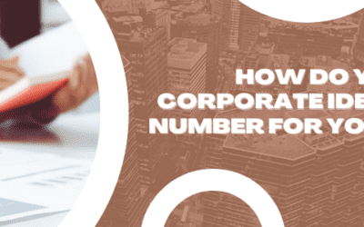 How Do You Obtain a Corporate Identification Number for Your Business?